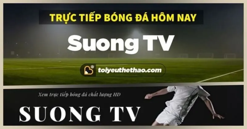 Suong tv cam kết mang đến thông tin chuẩn xác nhất